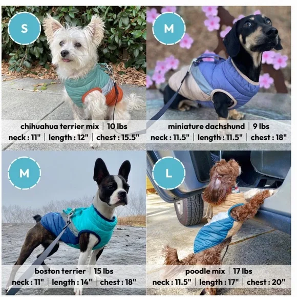 gooby Mountaineer Dog Jacket Blue, Tan, Gray NWT Size XL 100% Nylon - Picture 16 of 16